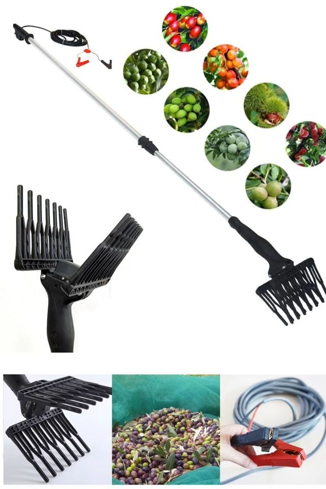 12V Teleskopik Uzayabilen Zeytin Silkeleme Hasat Makinas Zeytin Sallama Makinesi 1000W