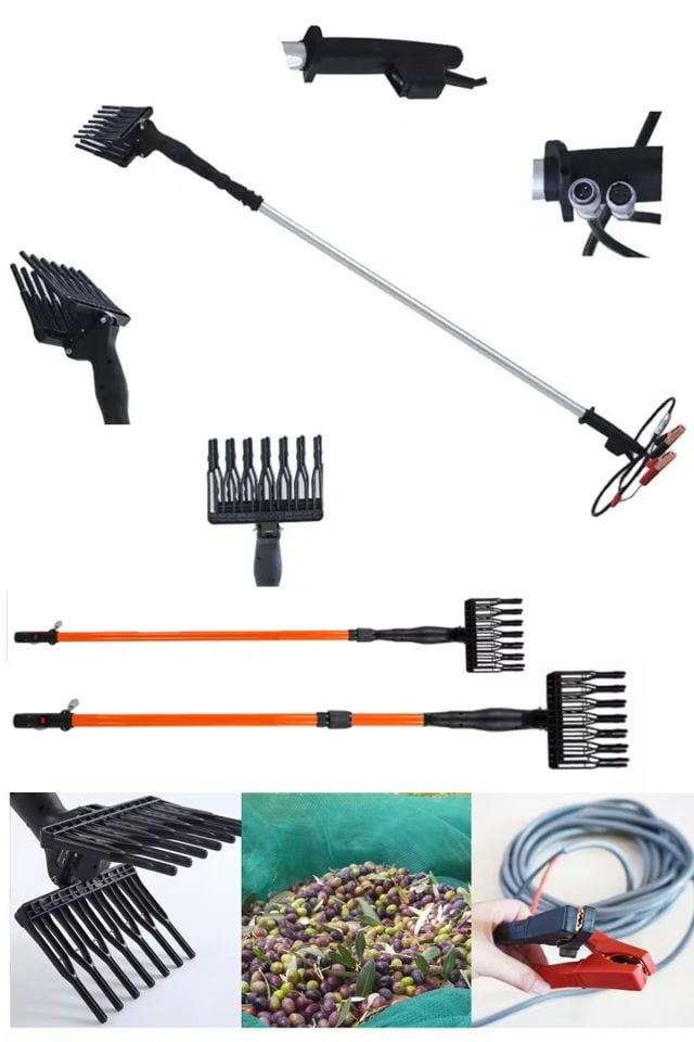 12V Teleskopik Uzayabilen Zeytin Silkeleme Hasat Makinas Zeytin Sallama Makinesi 1000W